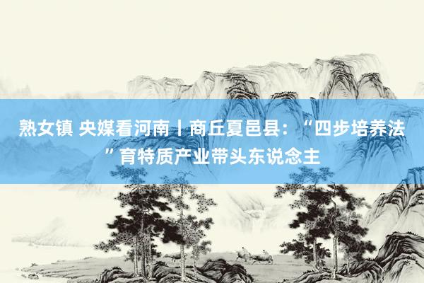 熟女镇 央媒看河南丨商丘夏邑县：“四步培养法”育特质产业带头东说念主