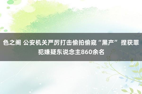 色之阁 公安机关严厉打击偷拍偷窥“黑产” 捏获罪犯嫌疑东说念主860余名