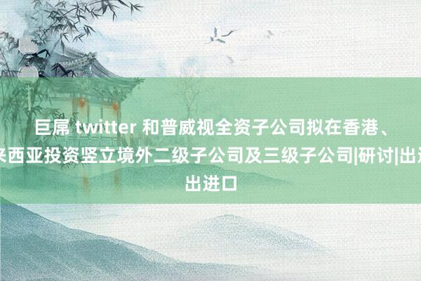 巨屌 twitter 和普威视全资子公司拟在香港、马来西亚投资竖立境外二级子公司及三级子公司|研讨|出进口