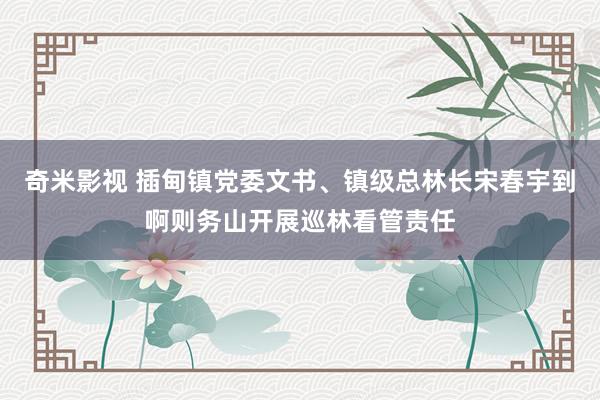 奇米影视 插甸镇党委文书、镇级总林长宋春宇到啊则务山开展巡林看管责任