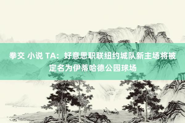 拳交 小说 TA：好意思职联纽约城队新主场将被定名为伊蒂哈德公园球场