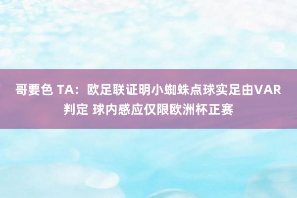 哥要色 TA：欧足联证明小蜘蛛点球实足由VAR判定 球内感应仅限欧洲杯正赛